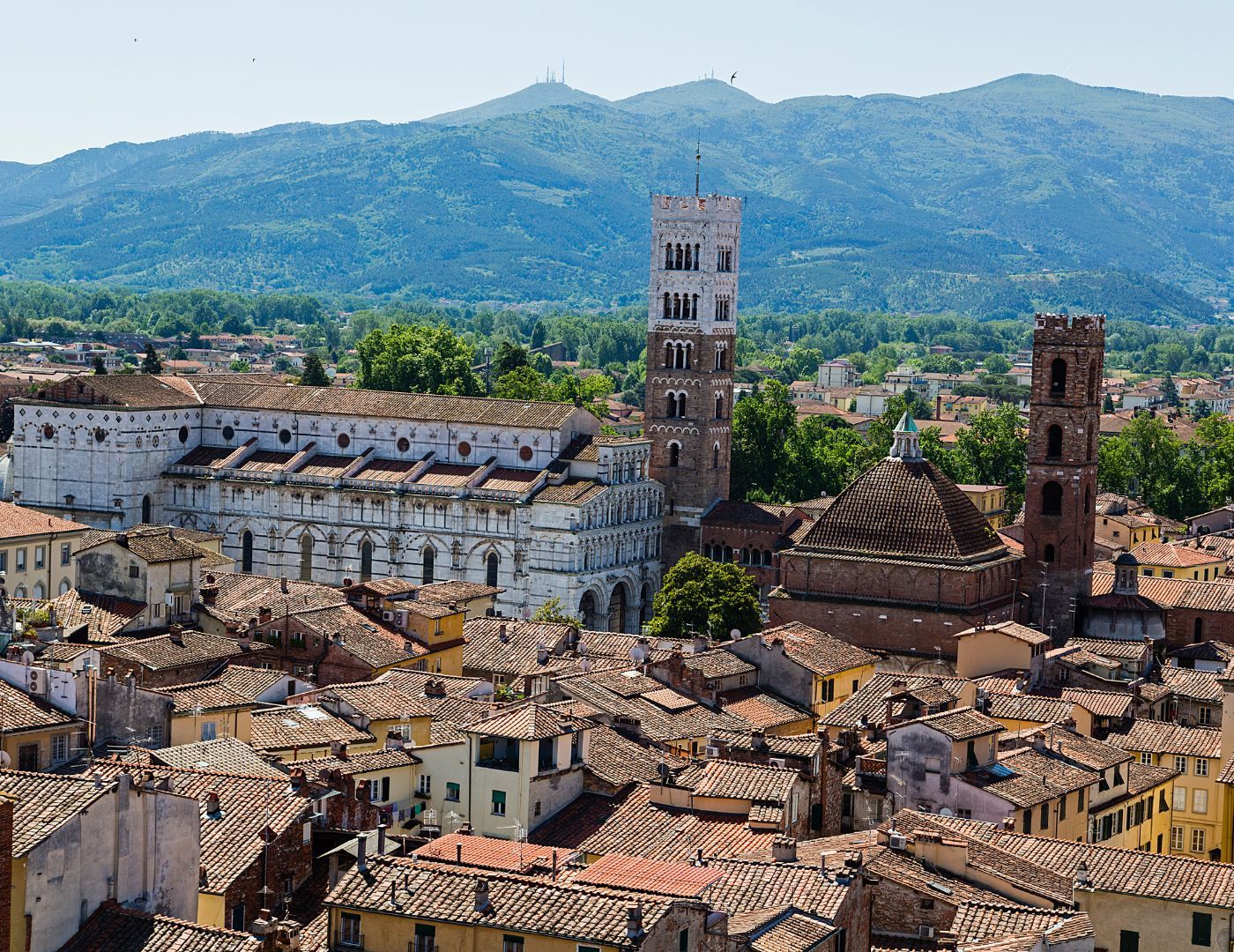 Lucca School Versilia